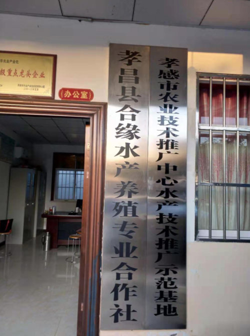 是孝感市北部最大鱼苗繁育,特色鱼养殖,渔民培训,渔需物资供应,渔业