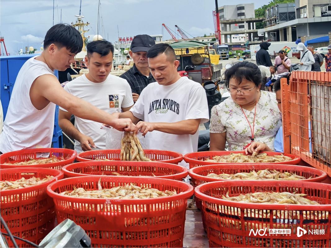 渔民挑灯分拣,食客摸黑抢购!南海开渔48小时鲜味暴击